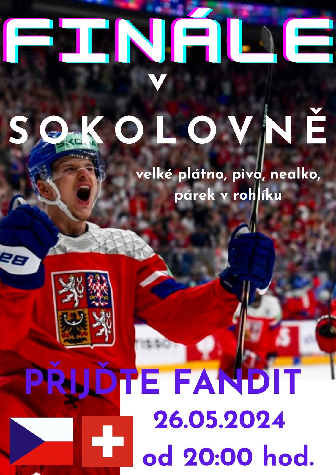 Finále v sokolovně.jpg