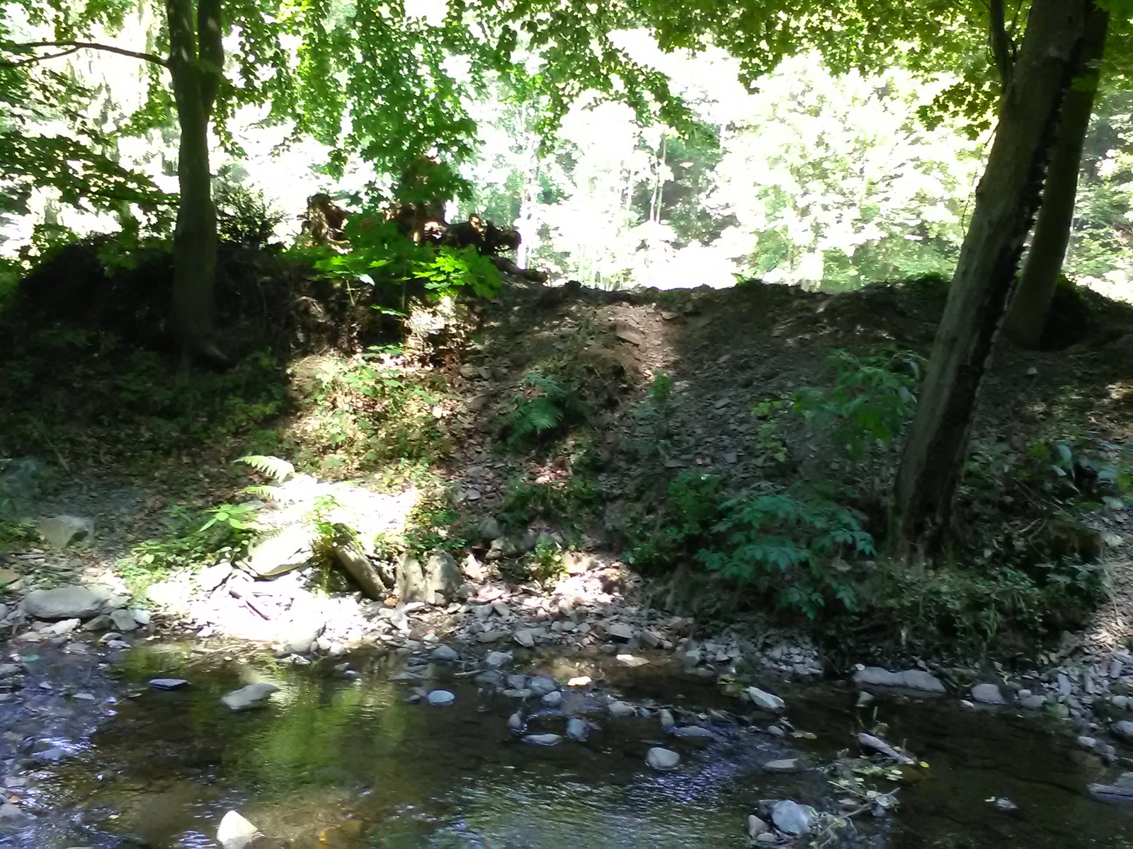 IMG_20170720_111803.jpg