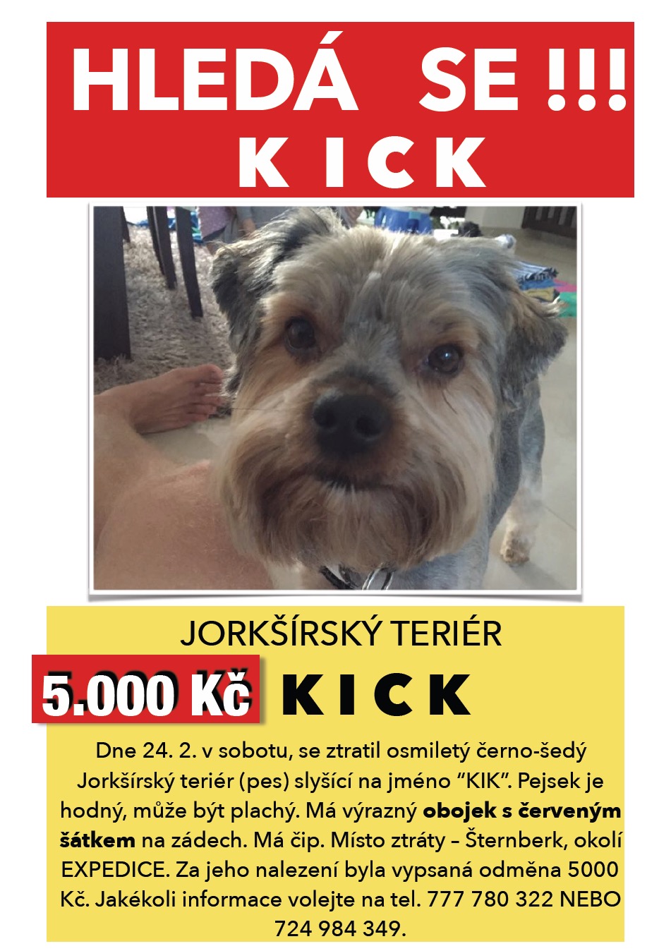 hledá se KICK.JPG